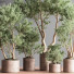 Pots de fleurs Ensemble de plantes d'intérieur 22 - nasrinrad