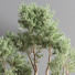 Pots de fleurs Ensemble de plantes d'intérieur 22 - nasrinrad
