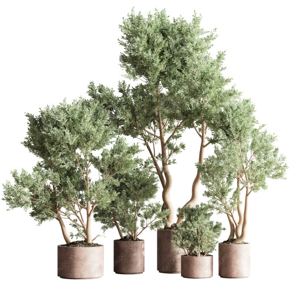 Pots de fleurs Ensemble de plantes d'intérieur 22 modèle 3D
