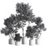 Pots de fleurs Ensemble de plantes d'intérieur 22 - nasrinrad