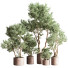 Pots de fleurs Ensemble de plantes d'intérieur 22 - nasrinrad