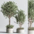 Pots de fleurs Ensemble de plantes d'intérieur 25 - nasrinrad