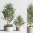 Pots de fleurs Ensemble de plantes d'intérieur 25 - nasrinrad