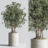 Pots de fleurs Ensemble de plantes d'intérieur 25 - nasrinrad