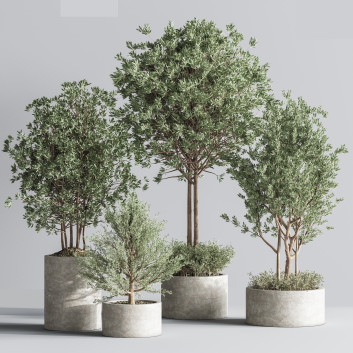 Pots de fleurs  Ensemble de plantes d'intérieur 25 Modèle 3D