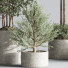 Pots de fleurs Ensemble de plantes d'intérieur 25 - nasrinrad