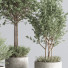 Pots de fleurs Ensemble de plantes d'intérieur 25 - nasrinrad