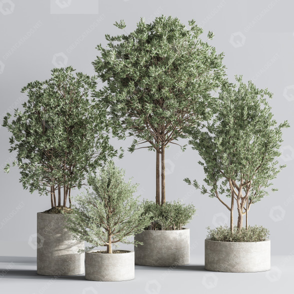 Pots de fleurs Ensemble de plantes d'intérieur 25 modèle 3D