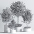 Pots de fleurs Ensemble de plantes d'intérieur 25 - nasrinrad