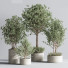 Pots de fleurs Ensemble de plantes d'intérieur 25 - nasrinrad