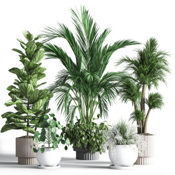 Pots de fleurs  Ensemble de plantes d'intérieur 28 Modèle 3D