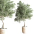 Pots de fleurs Ensemble de plantes d'intérieur 29 - nasrinrad