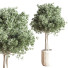 Pots de fleurs Ensemble de plantes d'intérieur 29 - nasrinrad