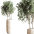 Pots de fleurs Ensemble de plantes d'intérieur 29 - nasrinrad