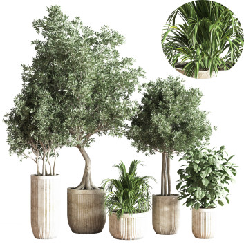 Pots de fleurs  Ensemble de plantes d'intérieur 29 Modèle 3D