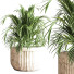 Pots de fleurs Ensemble de plantes d'intérieur 29 - nasrinrad