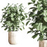 Pots de fleurs Ensemble de plantes d'intérieur 29 - nasrinrad