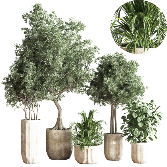 Pots de fleurs Ensemble de plantes d'intérieur 29 modèle 3D