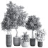Pots de fleurs Ensemble de plantes d'intérieur 29 - nasrinrad