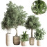 Pots de fleurs Ensemble de plantes d'intérieur 29 - nasrinrad