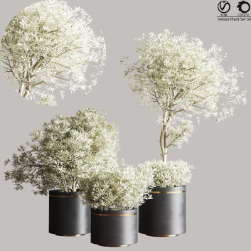 Pots de fleurs  Indoor Set Plant 30 Modèle 3D