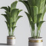 Pots de fleurs Ensemble de plantes d'intérieur 33 - nasrinrad