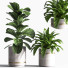 Pots de fleurs Ensemble de plantes d'intérieur 33 - nasrinrad