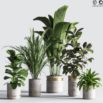 Pots de fleurs  Ensemble de plantes d'intérieur 33 Modèle 3D