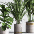 Pots de fleurs Ensemble de plantes d'intérieur 33 - nasrinrad