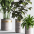 Pots de fleurs Ensemble de plantes d'intérieur 33 - nasrinrad