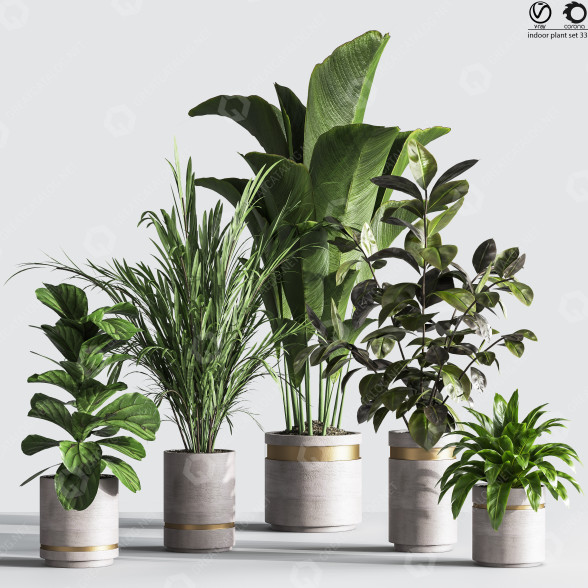 Pots de fleurs Ensemble de plantes d'intérieur 33 modèle 3D