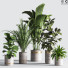 Pots de fleurs Ensemble de plantes d'intérieur 33 - nasrinrad