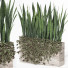 Flowerpot Outdoor Indoor Plant 008 Sansevieria Collection - Mrym.3dmodel