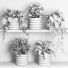 Flowerpots Plants on Shelf 06 - nr.asgari