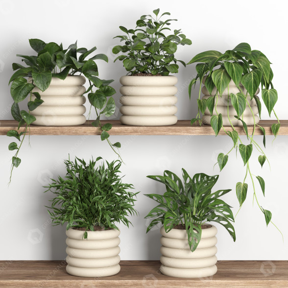 Flowerpots Plants on Shelf 06 3D model