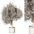 Blumentopf Pflanze im Freien 216 - uniquevry