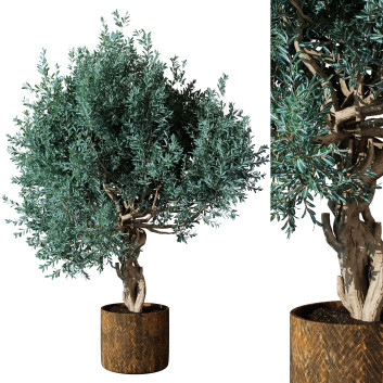 Pot de fleurs  Plante en extérieur 216 Modèle 3D