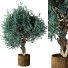 Blumentopf Pflanze im Freien 216 - uniquevry