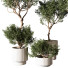 Pots de fleurs Plante en extérieur 216 - uniquevry
