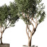 Pots de fleurs Plante en extérieur 216 - uniquevry