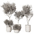 Pots de fleurs Plante en extérieur 216 - uniquevry