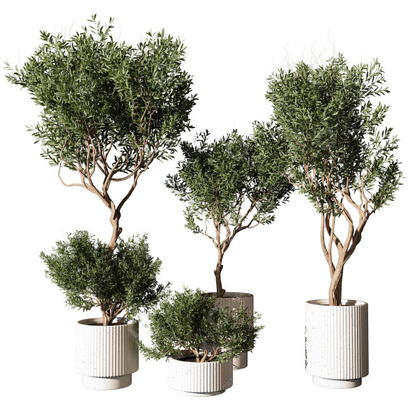 Pots de fleurs Plante en extérieur 216 modèle 3D