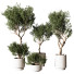 Pots de fleurs Plante en extérieur 216 - uniquevry