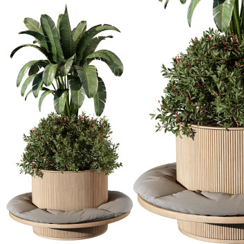 Pot de fleurs  Plantes d'intérieur 249 Modèle 3D