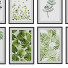 Картины Art Work Set - MoJIoKo