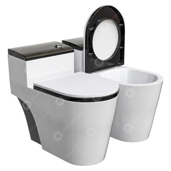 Toaleta Dual Flush Elongated by Fine Fixtures model 3D