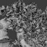 Вазон Бонсай 05 - SpinelCGI
