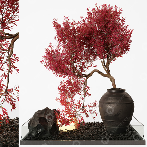 Blumentopf und Dekoration Zimmerpflanzen 253 3D-Modell