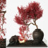 Blumentopf und Dekoration Zimmerpflanzen 253 - uniquevry