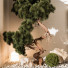 Green Wall Indoor Plant 252 - uniquevry